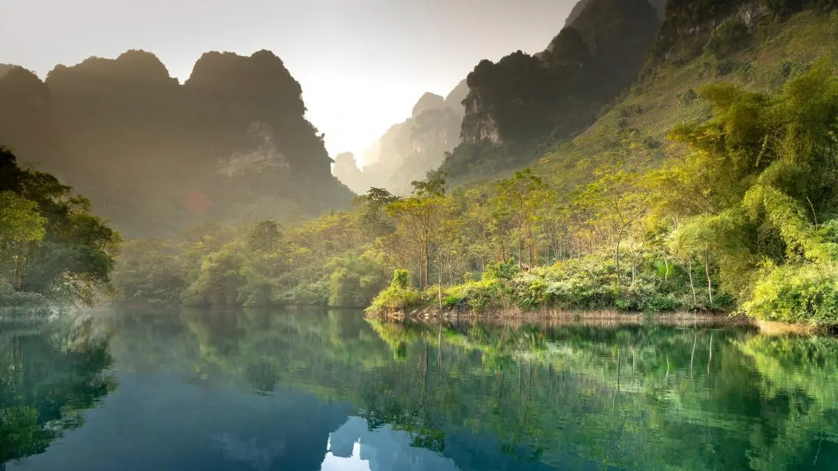 智能系统独特科技
